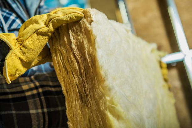 Best Specialized Insulation Services in Ellinwood, KS