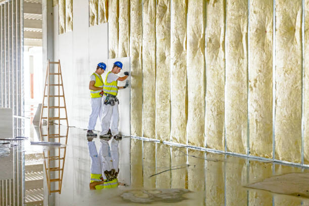 Best Spray Foam Insulation in Ellinwood, KS
